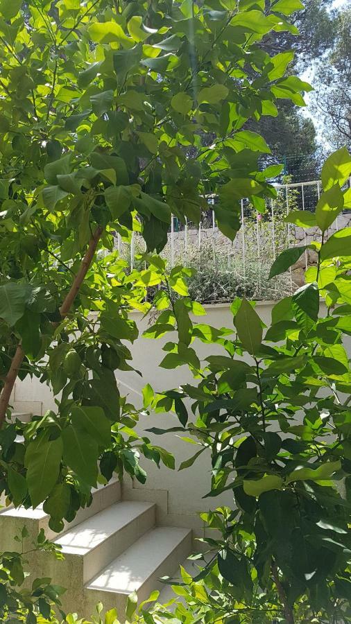 Apartman Di Mali Lošinj Exterior foto